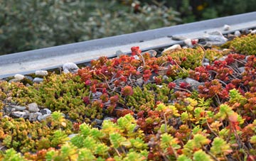 the cost of Skeggie green roof installation
