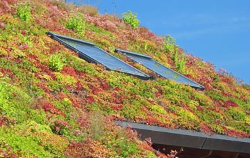 Skeggie living roof systems